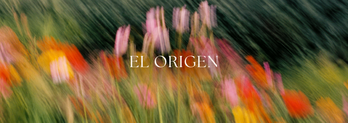 El origen